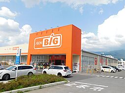 ザ・ビッグ 塩尻広丘店（432m）