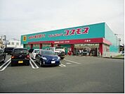 コスモス（286m）