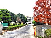 宇部市立西岐波中学校 1200m