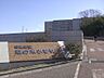 周辺：梨の木小学校　徒歩約11分（820ｍ）