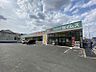 その他：ドラッグセイムス守山新城店まで　678m　徒歩約9分