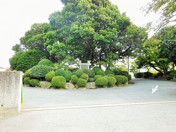 周辺を拡大表示