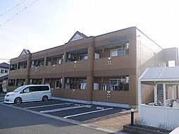 スターライズ