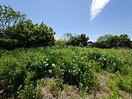 茨城県那珂市菅谷：物件画像