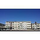 市橋小学校