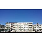 03 市橋小学校