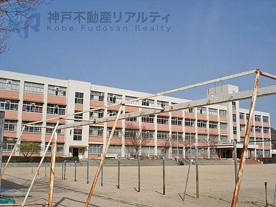 神戸市立横尾中...