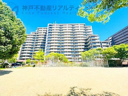 11階部分、南向きにつき日当たり良好♪