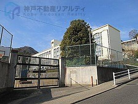 神戸市立布引中学校 徒歩19分。 1510m