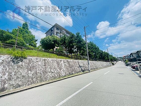近隣、戸建が多...
