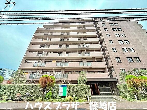 全面に光が入る...