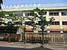 周辺：江戸川区立春江小学校 徒歩1分。 60m