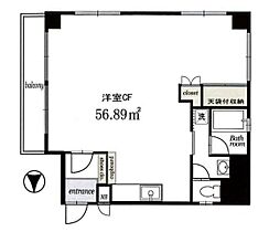 成子坂ハイツ  ｜ 東京都新宿区西新宿６丁目26-11（賃貸マンション1R・11階・56.89㎡） その2