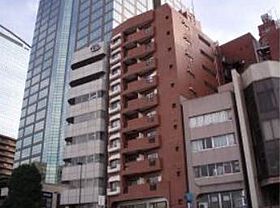 成子坂ハイツ  ｜ 東京都新宿区西新宿６丁目26-11（賃貸マンション1R・11階・56.89㎡） その1