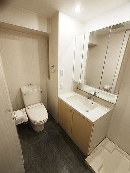 洗面を拡大表示