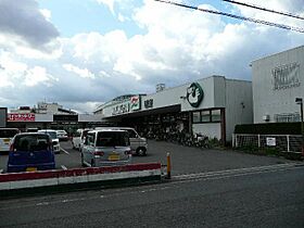 和歌山県和歌山市吹屋町2丁目（賃貸アパート1LDK・3階・35.01㎡） その10