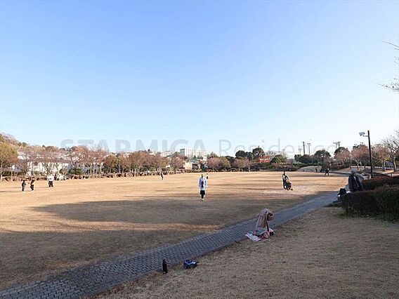 日野中央公園 ...