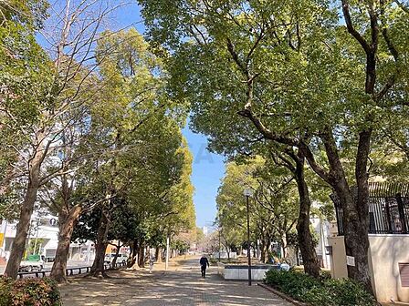 大通り公園 16m