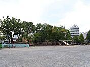 牡丹町公園 580m