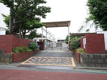 横浜市立藤の木小学校 750m