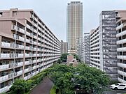 お部屋からの眺望