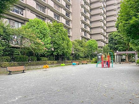 中原公園 37m