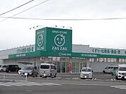 ザグザグ丸亀三条店まで666ｍ