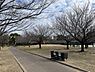 周辺：【公園】高洲中央公園まで683ｍ