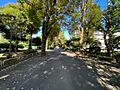 棟東側の遊歩道...