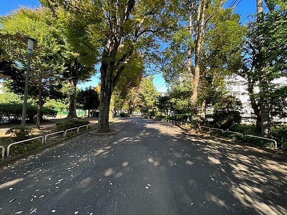 棟東側の遊歩道...