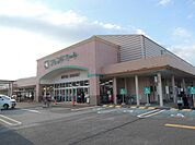 フレンドマート　五個荘店 まで約 1780 m