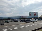 コメリ愛知川店 まで約 1370 m