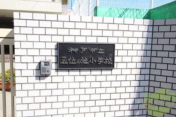 画像29:神戸市立五位の池小学校 150m