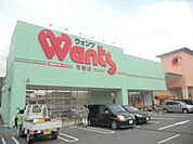 ドラックストア「ウォンツ可部店まで579ｍ」