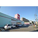 ドラックストア「ハーティウォンツ高陽落合店まで1182ｍ」