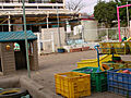 【保育園】東大...