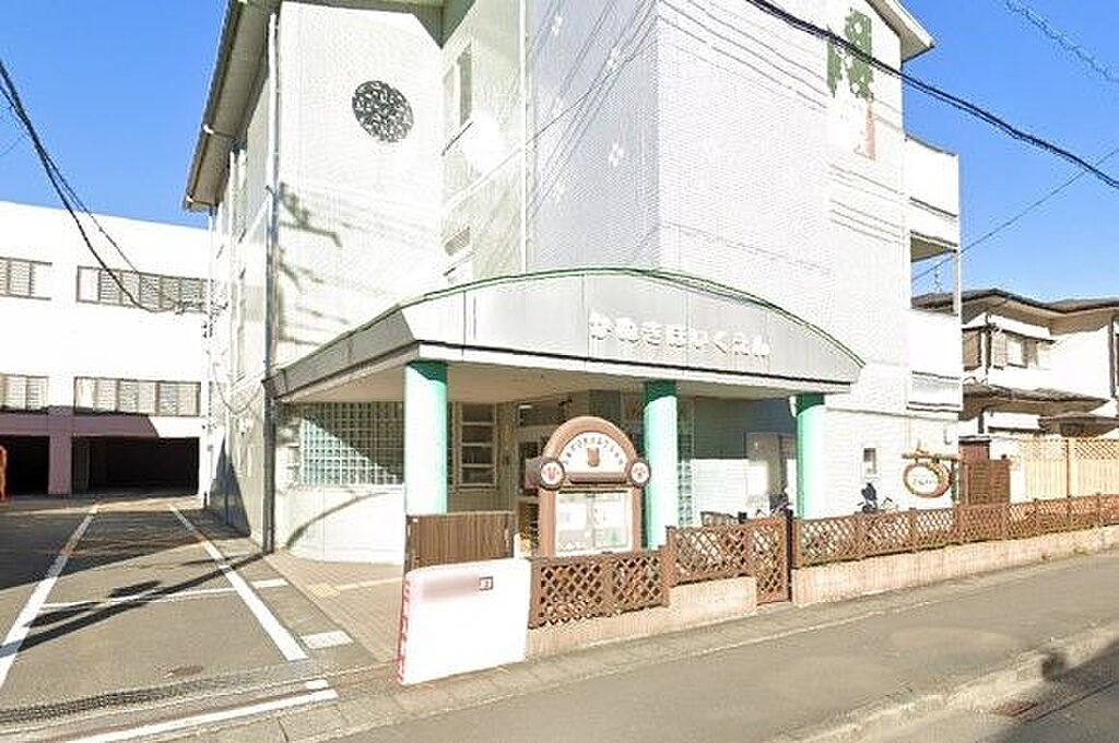 Image 11