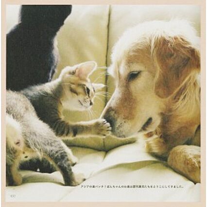 プランドール角木A_トップ画像