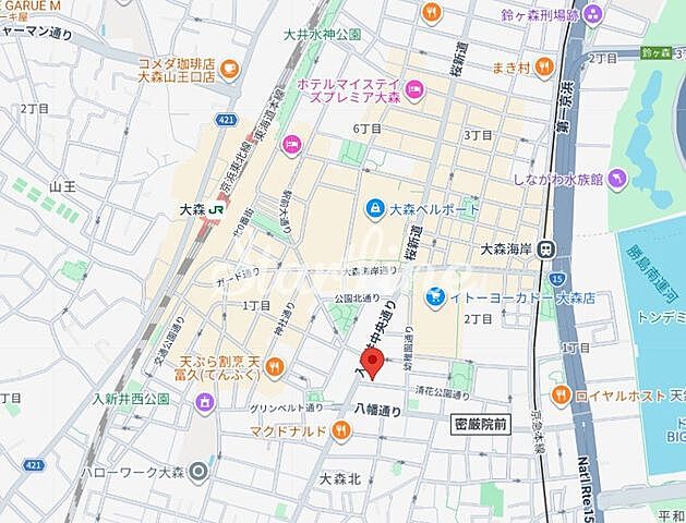 地図