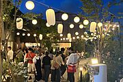 meedoではイベントも開催しております。