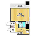 ライオンズマンション大手前第39階1,000万円