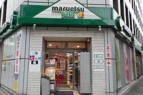 ルフォンプログレ神田プレミア  ｜ 東京都千代田区神田須田町1丁目20-1（賃貸マンション1LDK・11階・30.53㎡） その21