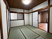 2026年3月17日撮影