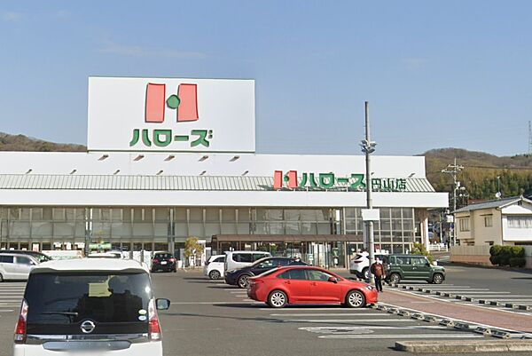 画像17:【スーパー】ハローズ 円山店まで267ｍ