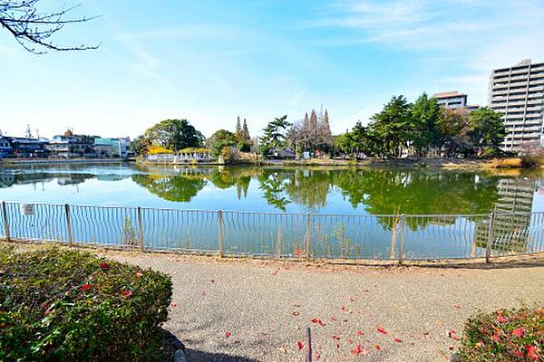 ローレル石橋 ｜大阪府大阪市東住吉区中野3丁目(賃貸マンション1LDK・5階・49.32㎡)の写真 その25