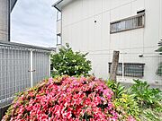 頬をなでる、優しい風を感じることが出来ます。