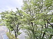 窓を開けると広がる青空。心をリフレッシュして日々を過ごしていきましょう。