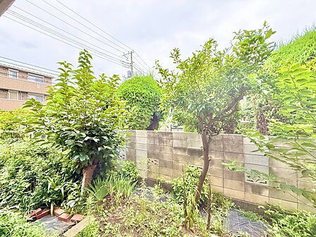 窓を開けると広がる青空。心をリフレッシュして日々を過ごしていきましょう。