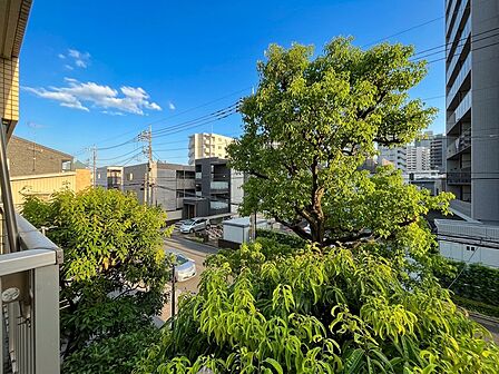 頬をなでる、優しい風を感じることが出来ます。