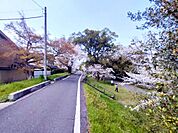 嵐山東公園まで約160ｍ(徒歩2分)